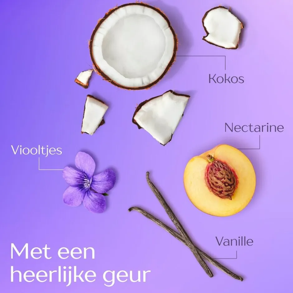 Clearance Andrelon Andrélon Zilver Care Kleurcorrigerende Shampoo