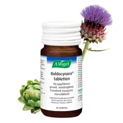 Online A.Vogel Boldocynara Tabletten