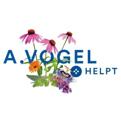 A.Vogel Echinaforce Crème