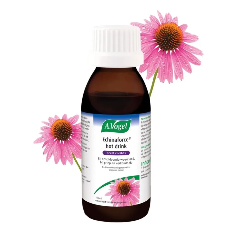 Outlet A.Vogel Echinaforce Hot Drink