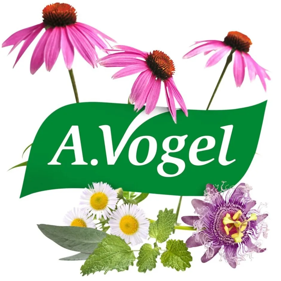 Outlet A.Vogel Echinaforce Hot Drink