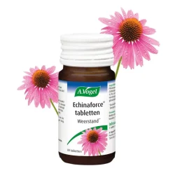 Discount A.Vogel Echinaforce Tabletten