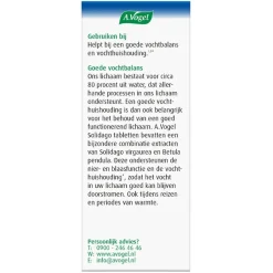 Discount A.Vogel Solidago Tabletten
