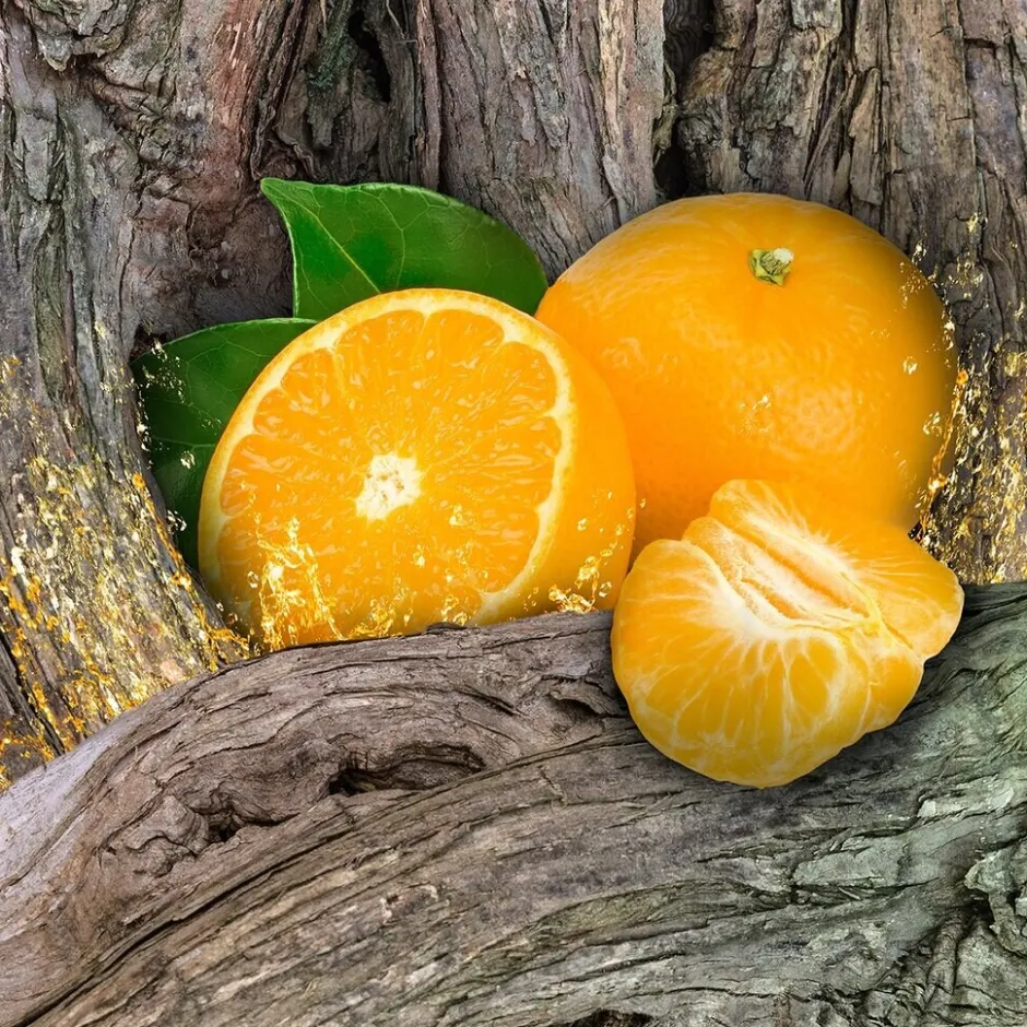 Best Axe Africa Deodorant & Bodyspray