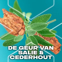 Best Axe Apollo Antitranspirant Spray