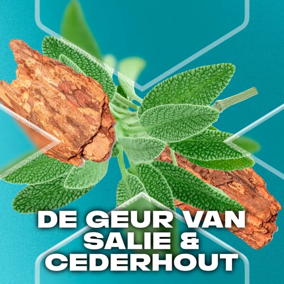 Best Axe Apollo Antitranspirant Spray