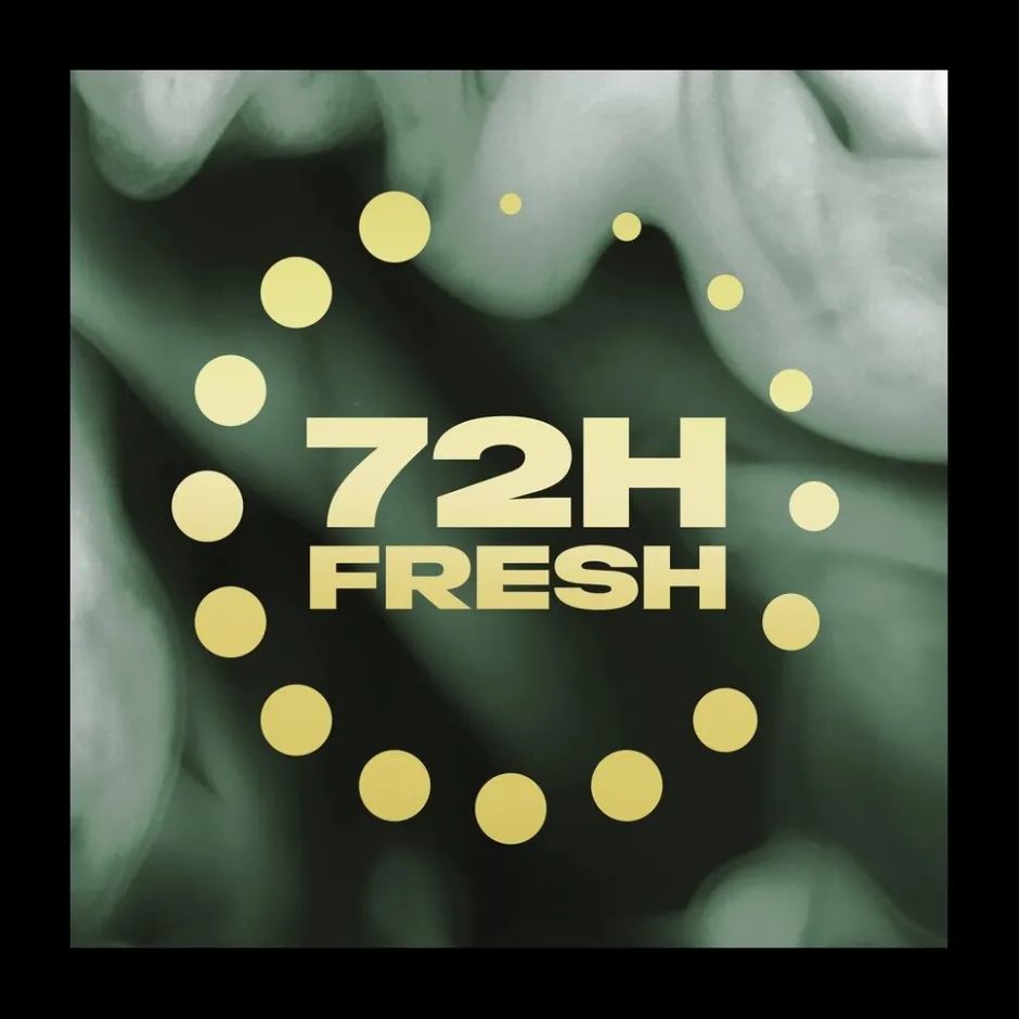 Outlet Axe Fine Fragrance Pure Coconut Deodorant Bodyspray