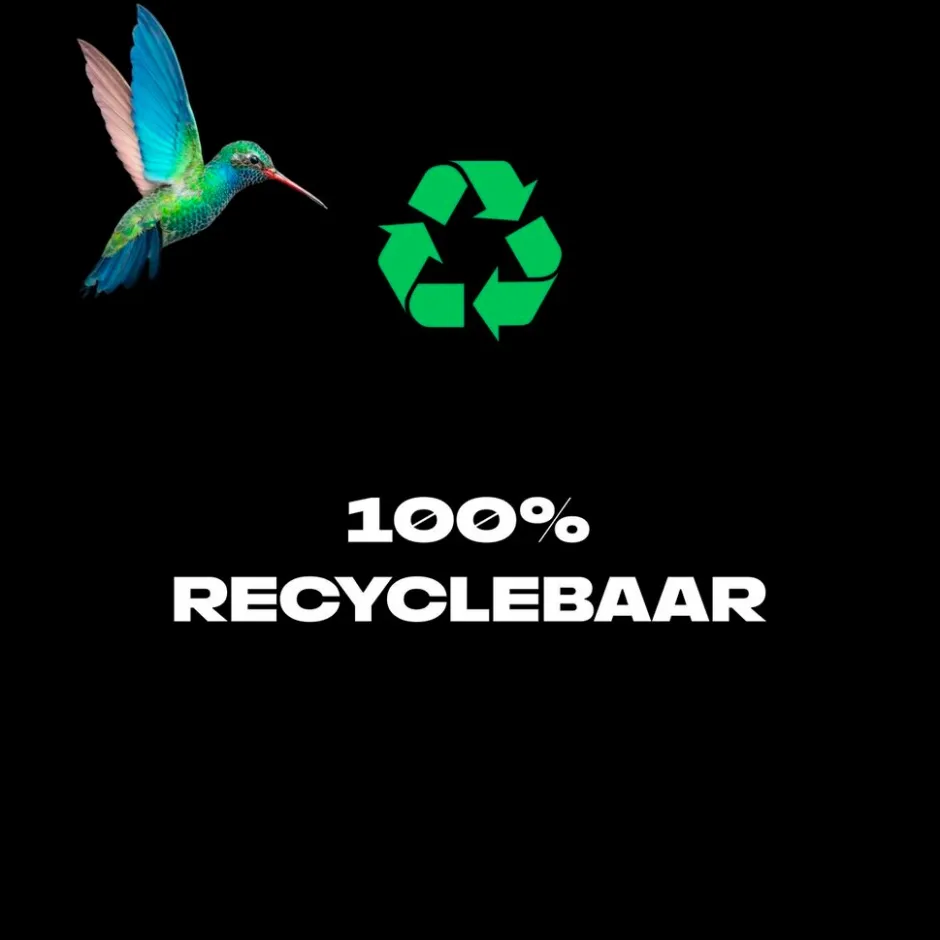 Axe Jungle Fresh Deodorant & Bodyspray