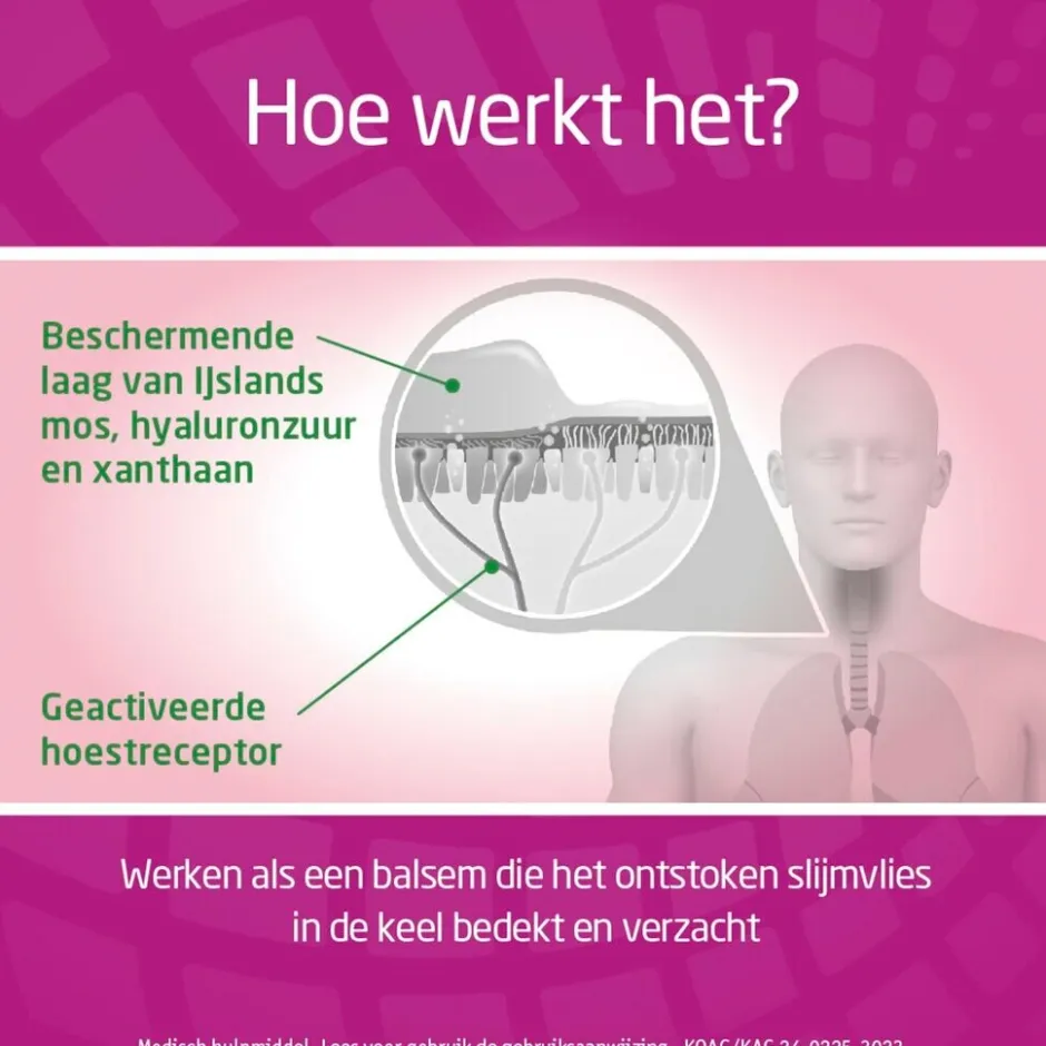 Hot Bronchostop Direct Nacht 5-in-1 Hoestdrank