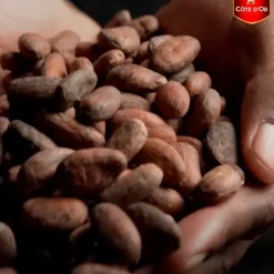 Cote D'Or Côte d'Or Chocolade Mini Bouchée Pralines