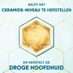 Discount Head & Shoulders DermaXPro by Hydrateert Antiroosshampoo