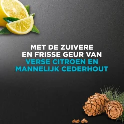 New Dove Men +Care Clean Comfort Douchegel