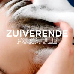 Outlet Loving Blends Garnier Magnetic Charcoal Shampoo