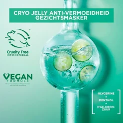 Sale Garnier Skin Naturals Garnier SkinActive Cryo Jelly Anti-Vermoeidheid Gezichtsmasker met Hyaluronzuur