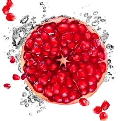 Clearance Garnier Skin Naturals Garnier SkinActive Hydra Bomb Tissuemasker