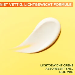 Clearance Garnier Skin Naturals Garnier SkinActive Vitamine C Glow Booster Serum Cream