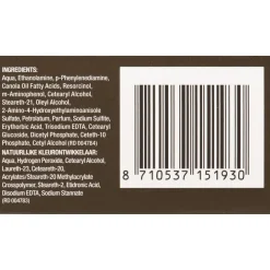 Online Just For Men Original Formula H-55 Zwart Haarkleuring