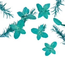 Discount Kneipp Goodbye Stress Watermunt Rozemarijn Badolie