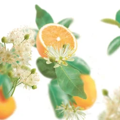 Hot Kneipp Pure Harmony Sinaasappel Lindebloesem Douchegel