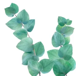 New Kneipp Refreshing Eucalyptus Badkristallen