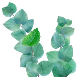 Discount Kneipp Refreshing Mint-Eucalyptus Badschuim