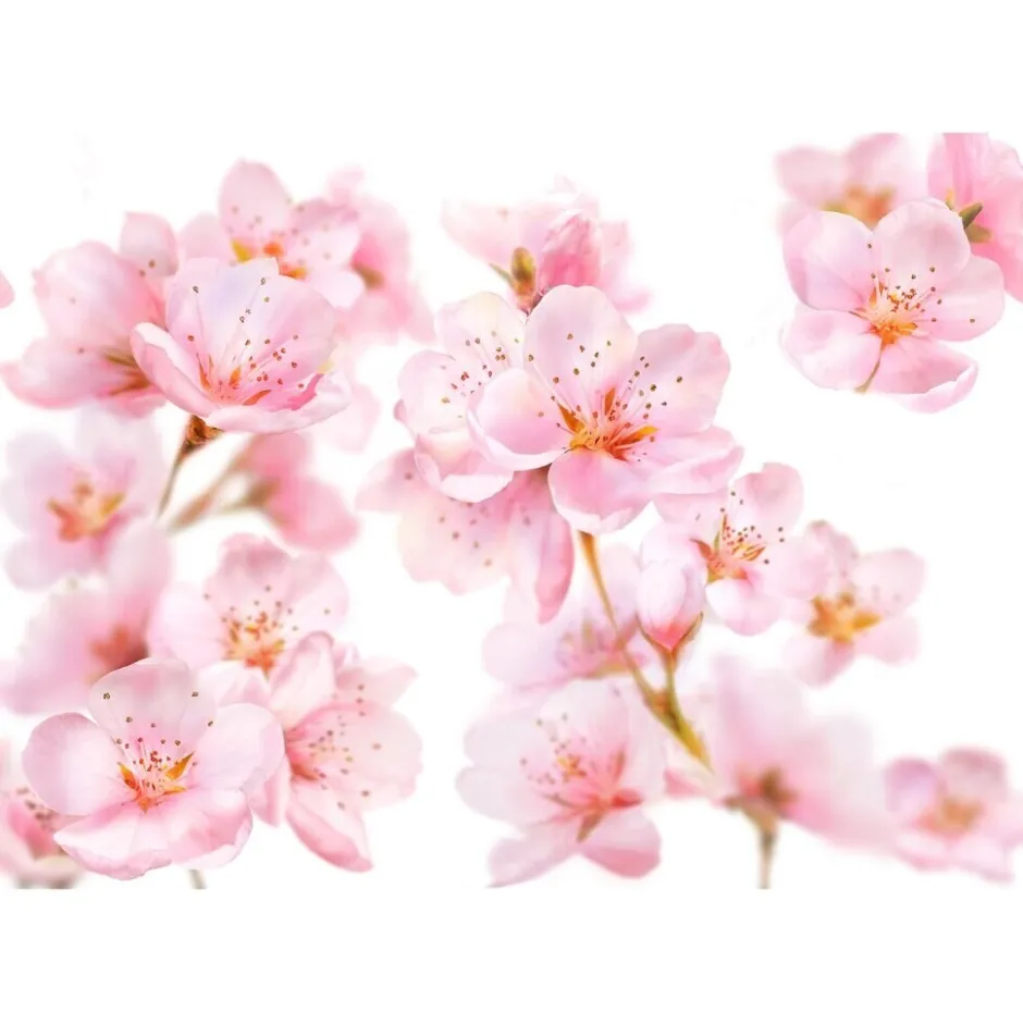 New Kneipp Soft Skin Amandelbloesem Badolie