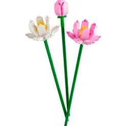 New LEGO Botanicals LEGO 40647 Lotusbloemen