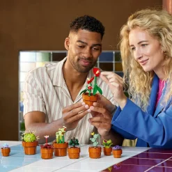 Best LEGO Botanicals LEGO Botanical Collection 10329 Miniplantjes