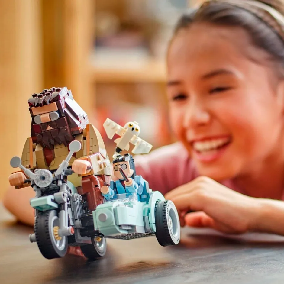 LEGO Harry Potter 76443 Hagrid & Harry's Rit Op De Motor