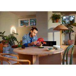 LEGO Botanicals LEGO The Botanical Collection 10348 Japanse Esdoorn Bonsaiboompje