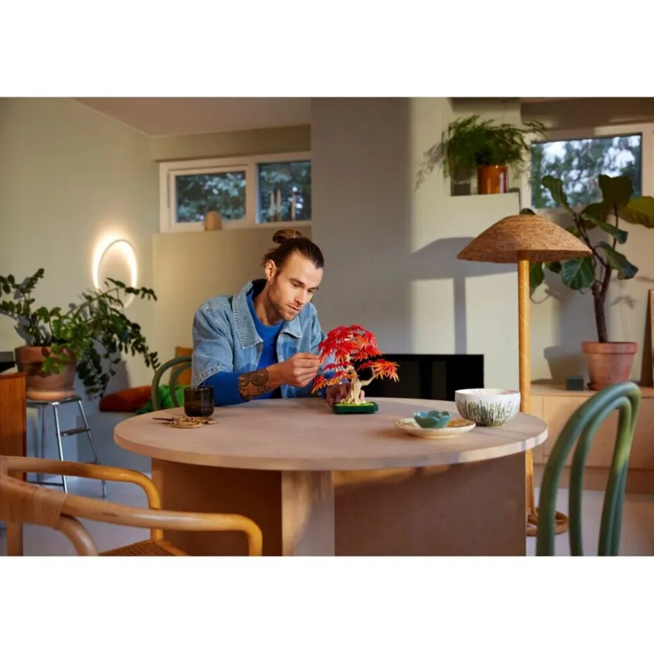 LEGO Botanicals LEGO The Botanical Collection 10348 Japanse Esdoorn Bonsaiboompje