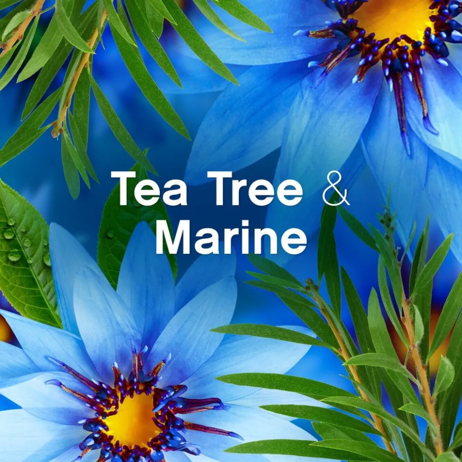 Hot Lenor Zeebries Wasverzachter