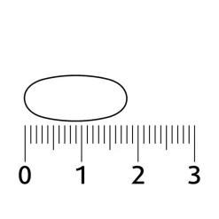 Discount Lucovitaal Magnesium Vitaminen & Mineralen Compleet Tabletten