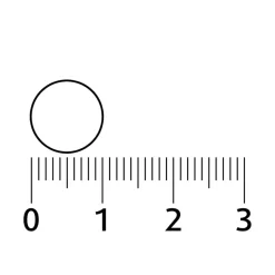 Hot Lucovitaal Overgang Balans Tabletten