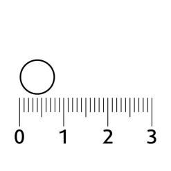 Online Lucovitaal Vitamine B12 1000mcg Kauwtabletjes