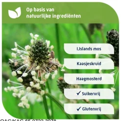 Online Natterman Direct Voor Alle Hoest Suikervrije Siroop