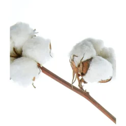 Hot Nivea Classic Care Milde Shampoo