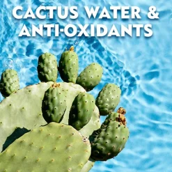 Sale Nivea Men Fresh Kick Antitranspirant Spray