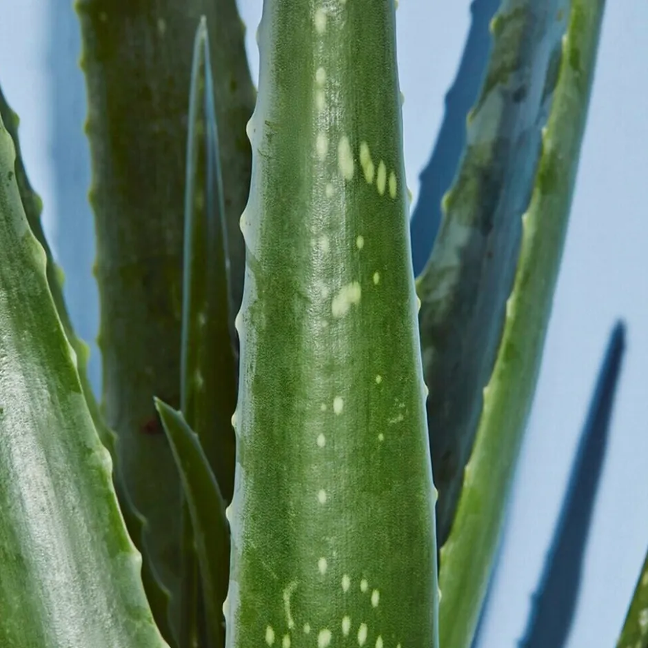 Best Nivea Sun Kalmerende Aftersun Spray