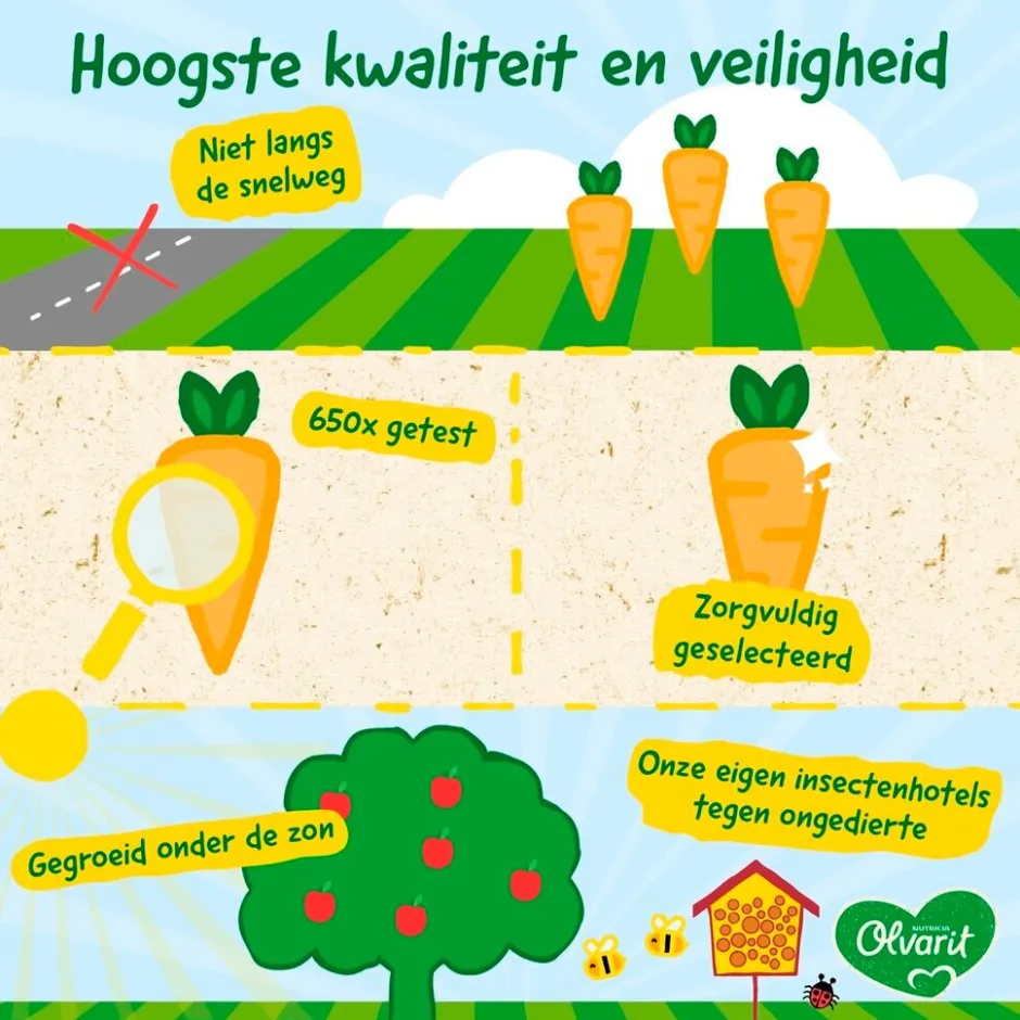 Sale Olvarit 8+M Courgette Witvis Rijst