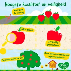 Olvarit 6+M Fruit Variatiemenu