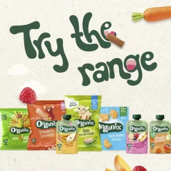 Best Organix 12+M Haver, Appel, Banaan, Aardbei & Bosbes Knijpfruit