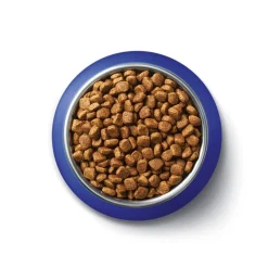 Outlet One Purina Adult Rijk aan Zalm Kattenvoer