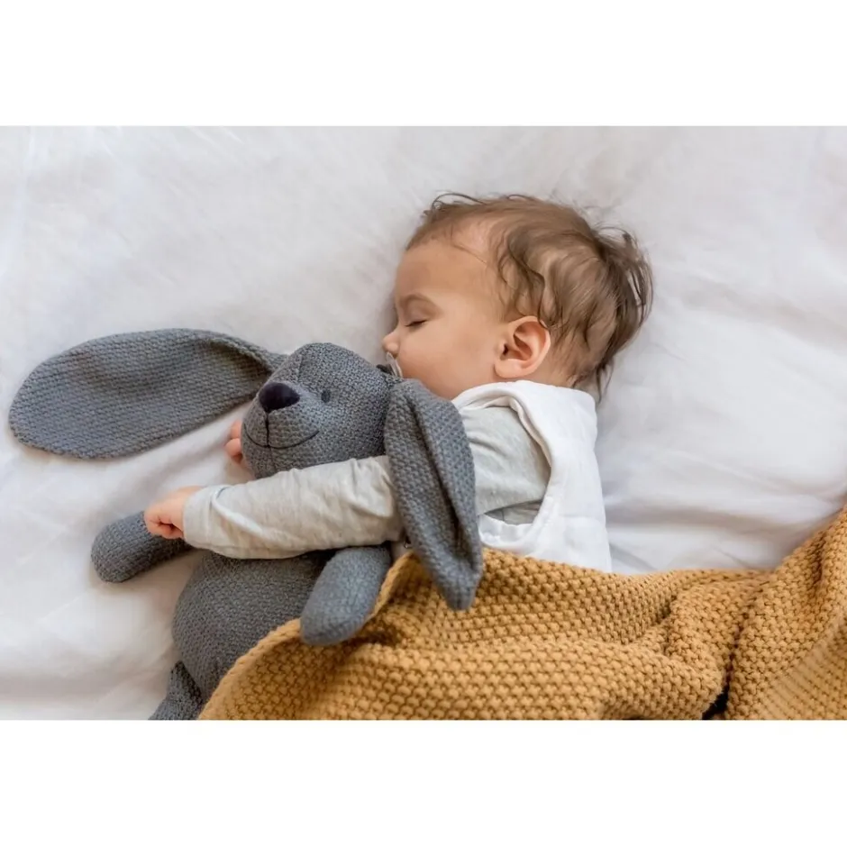 New Zwitsal Robijn Geurbuiltjes