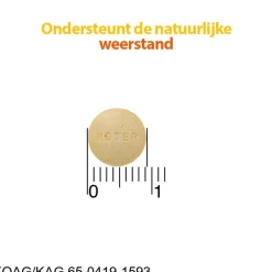 Hot Roter Vitamine C 70 mg Suikervrije Kauwtabletten