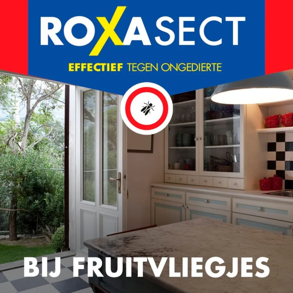 Best Roxasect Fruitvliegjes