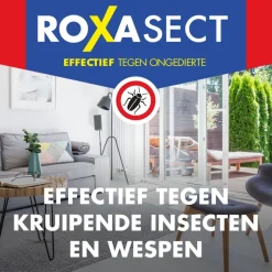 Hot Roxasect Spuitbus tegen Kruipende Insecten en Wespen