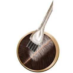 Schwarzkopf Color Schwarzkopf Vital R4 Donkerbruin Haarverf Uitgroeiset