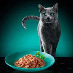 Sheba Délices du Jour in Saus met Zalm, Tonijn & Forel Maaltijdzakjes Kattenvoer