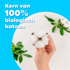 Discount Tampax Compak Cotton Protection Super Tampons